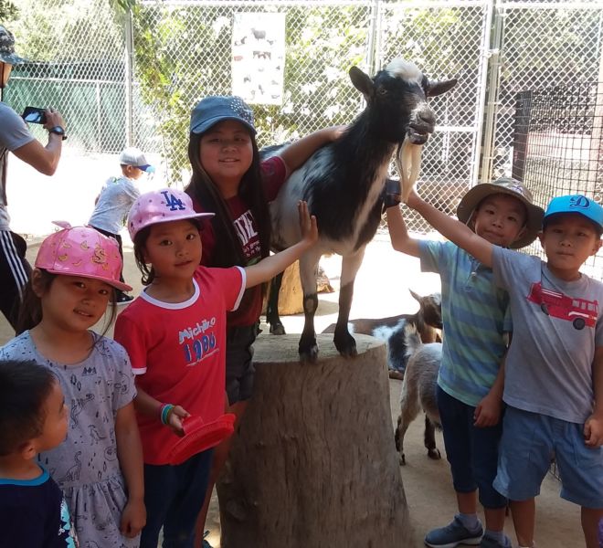 Field Trip-3