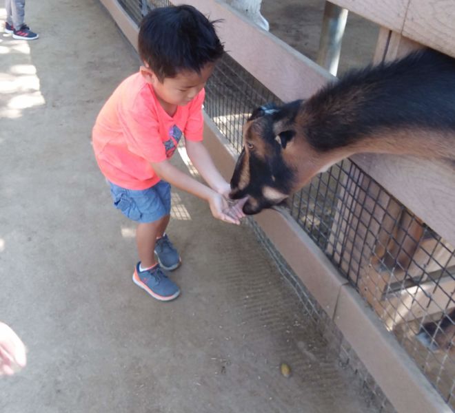Field Trip-3_1